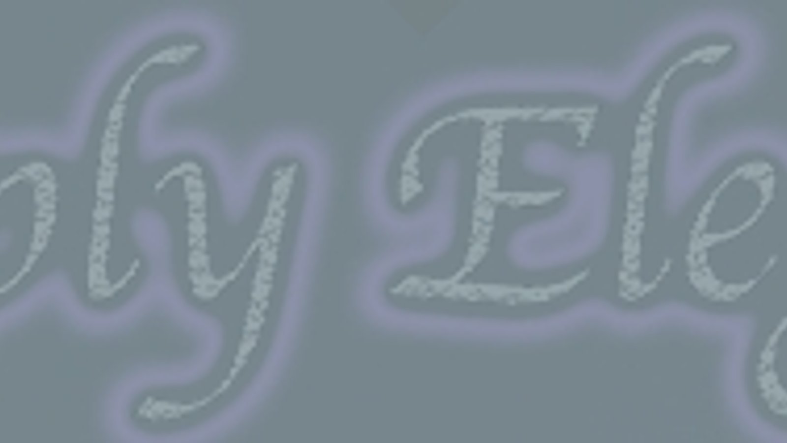 Simply Elegant Hair & Cosmetics