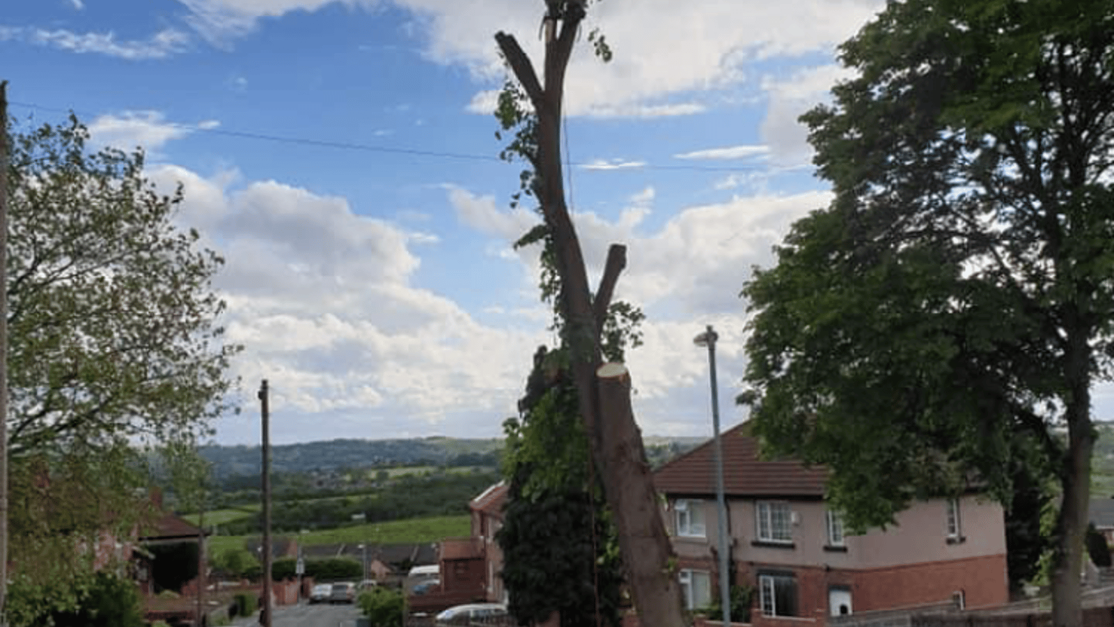 G M Tree Services