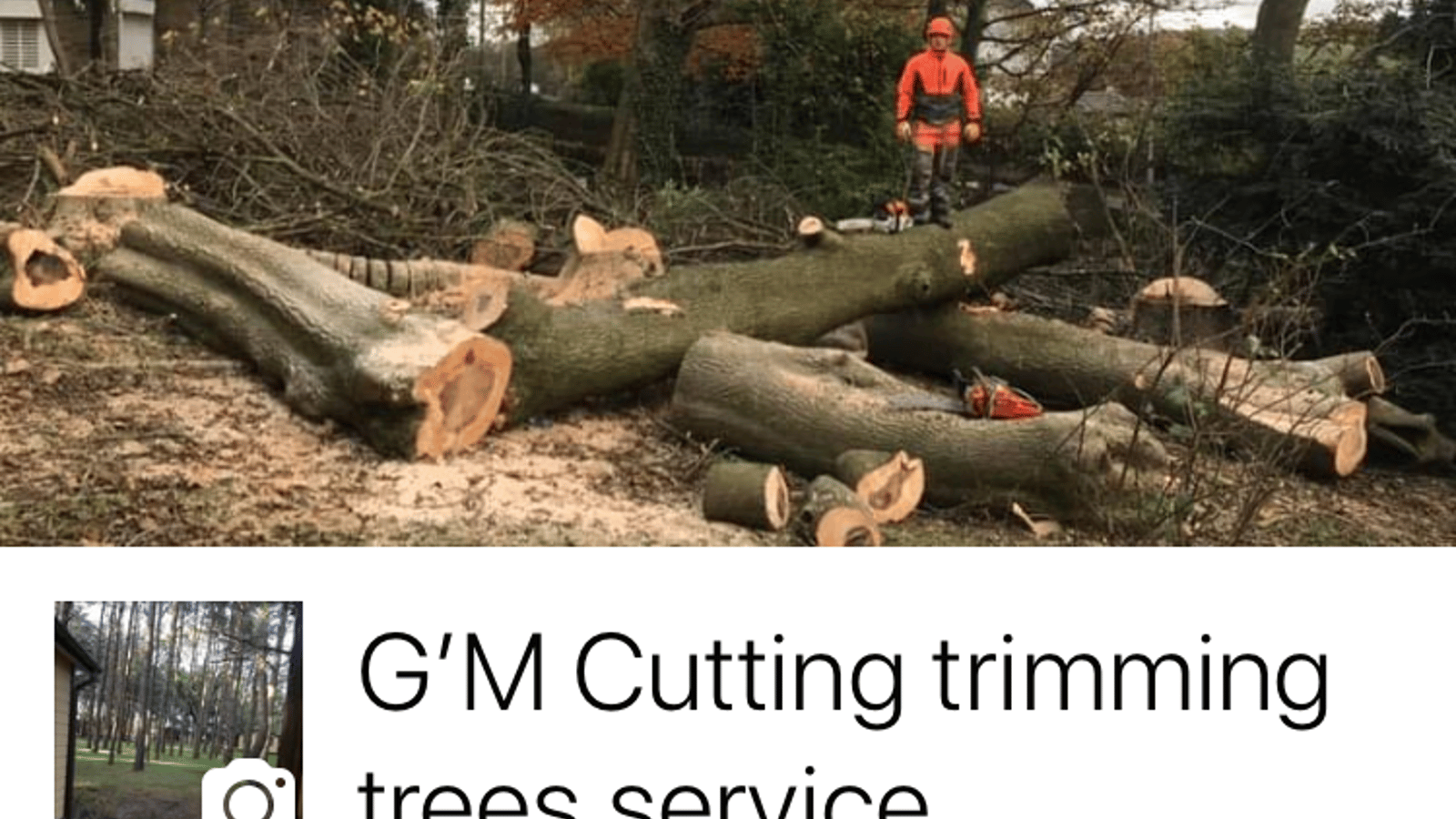 G M Tree Services