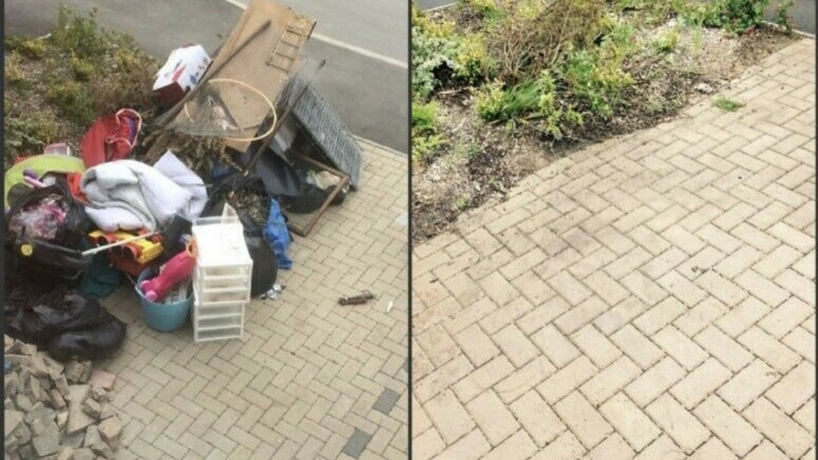 Removal Guys