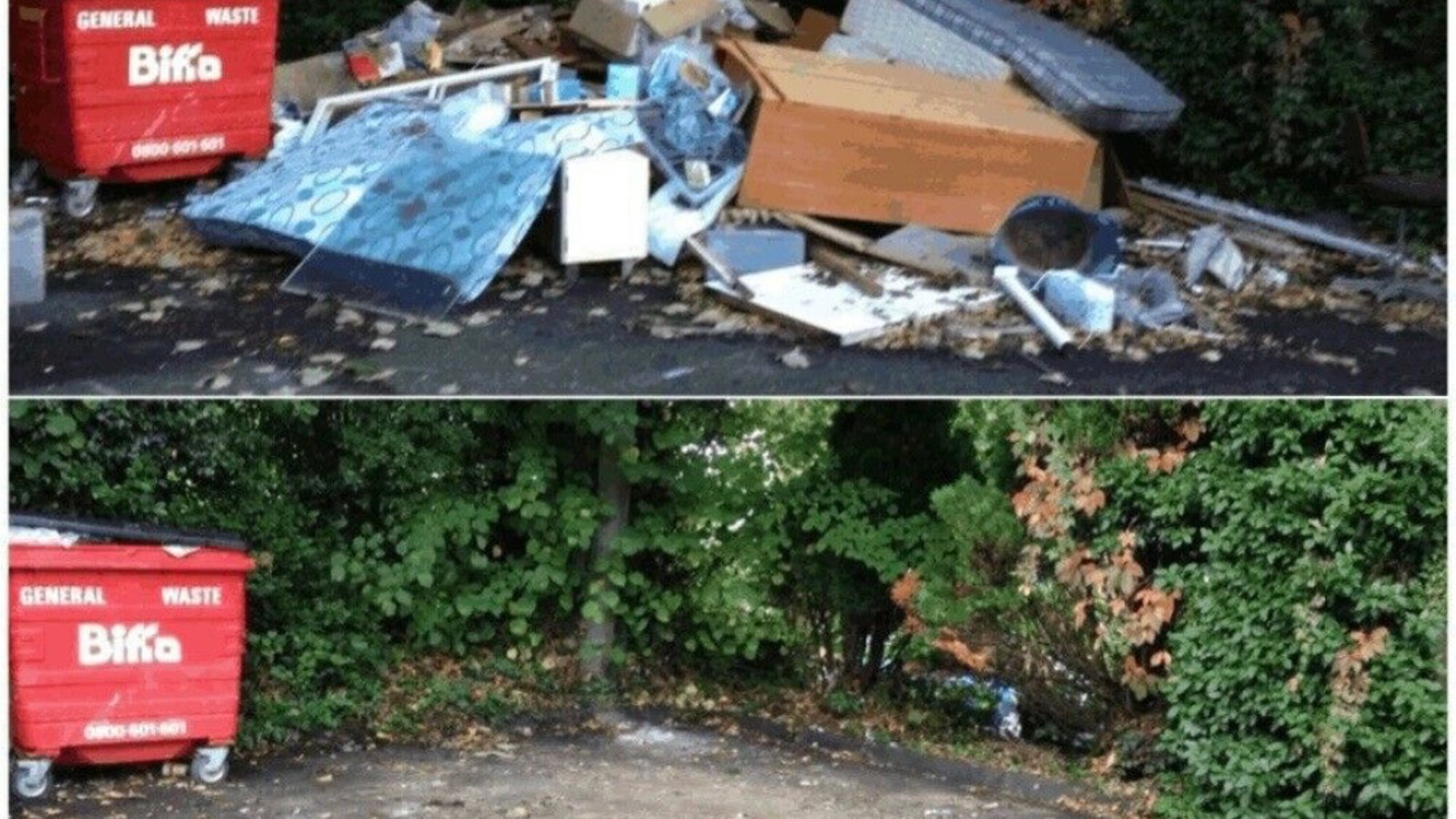 Removal Guys