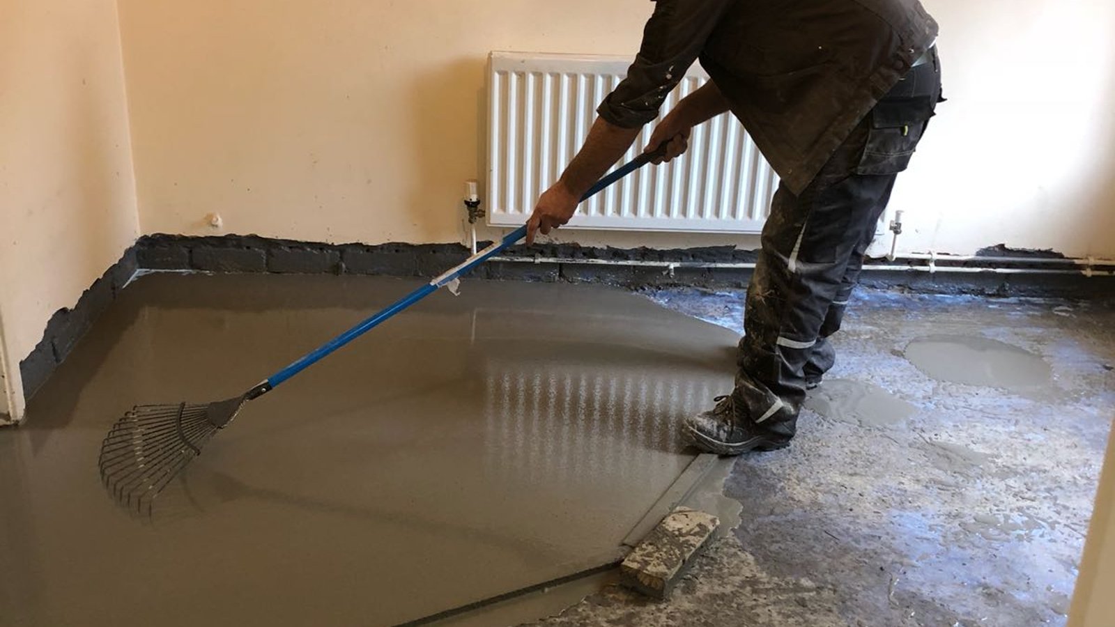 Damp Zone Ltd - Live 831-693-8131
