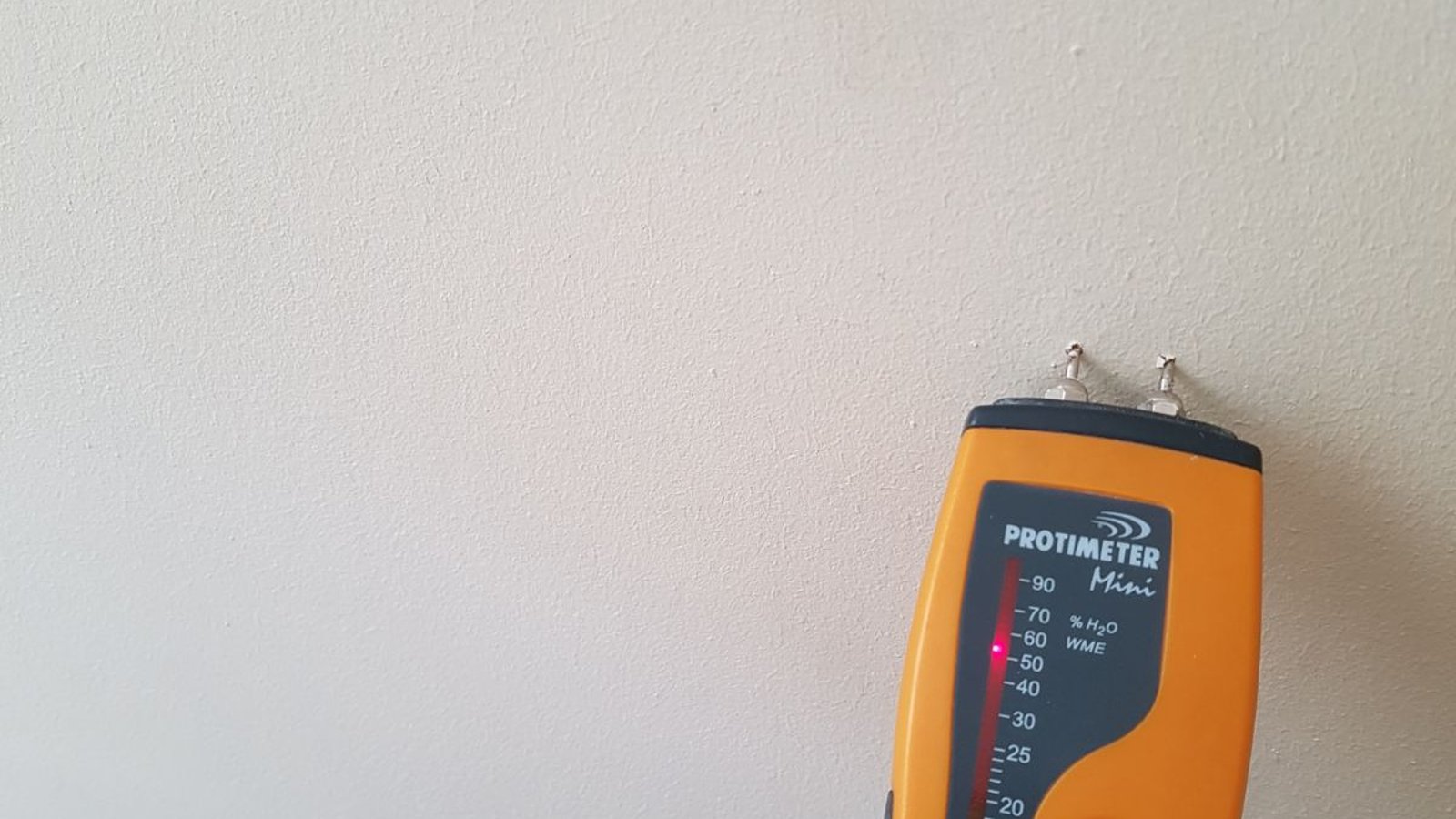 Damp Zone Ltd - Live 831-693-8131
