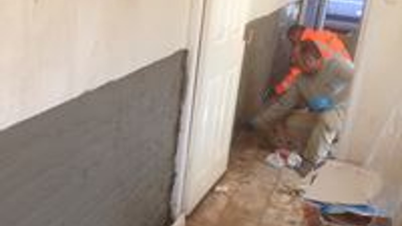 Damp Zone Ltd - Live 831-693-8131