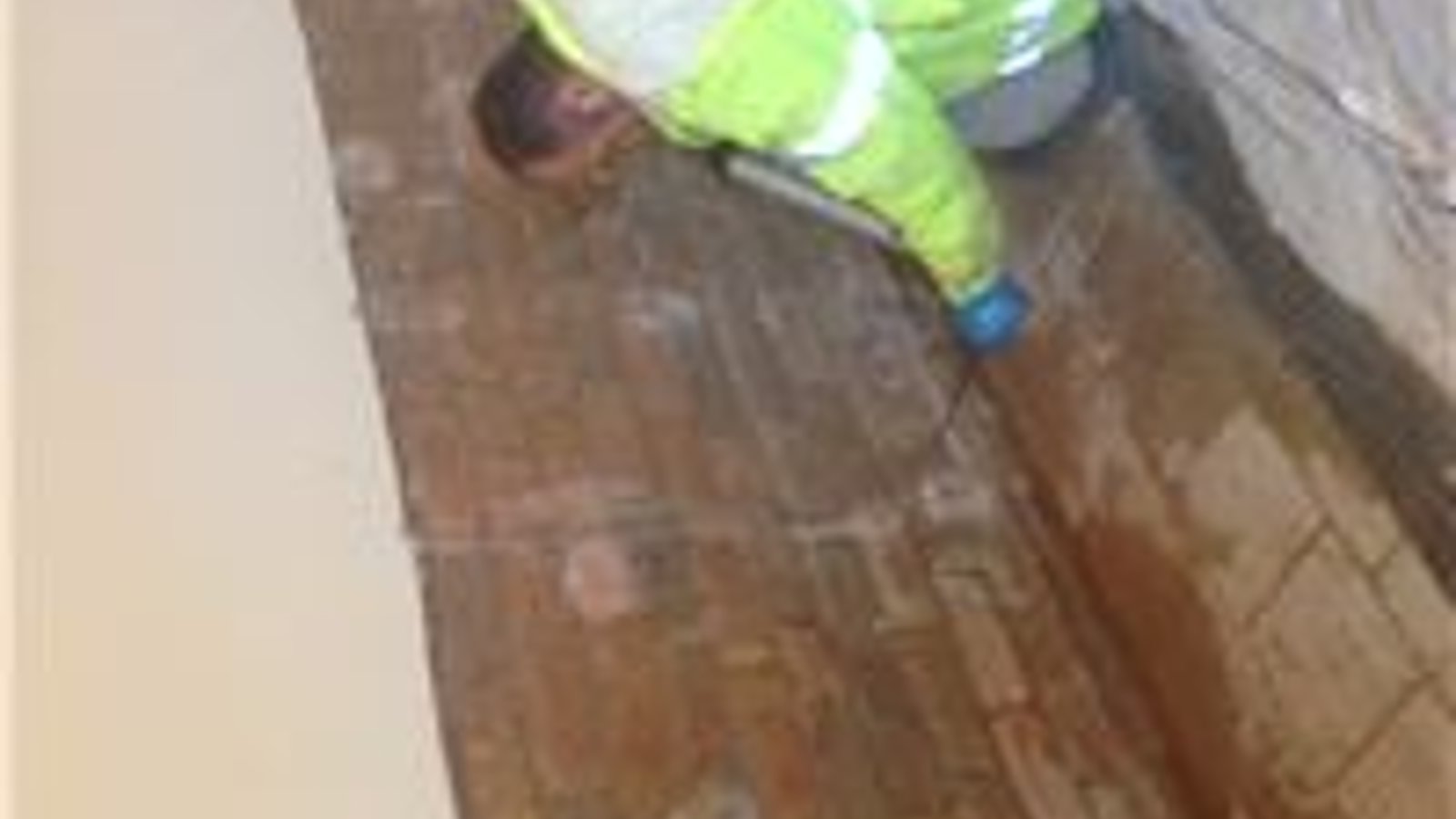 Damp Zone Ltd - Live 831-693-8131