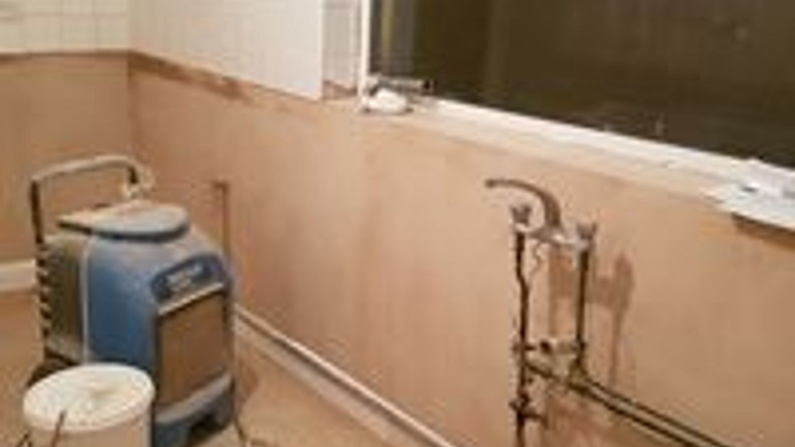 Damp Zone Ltd - Live 831-693-8131