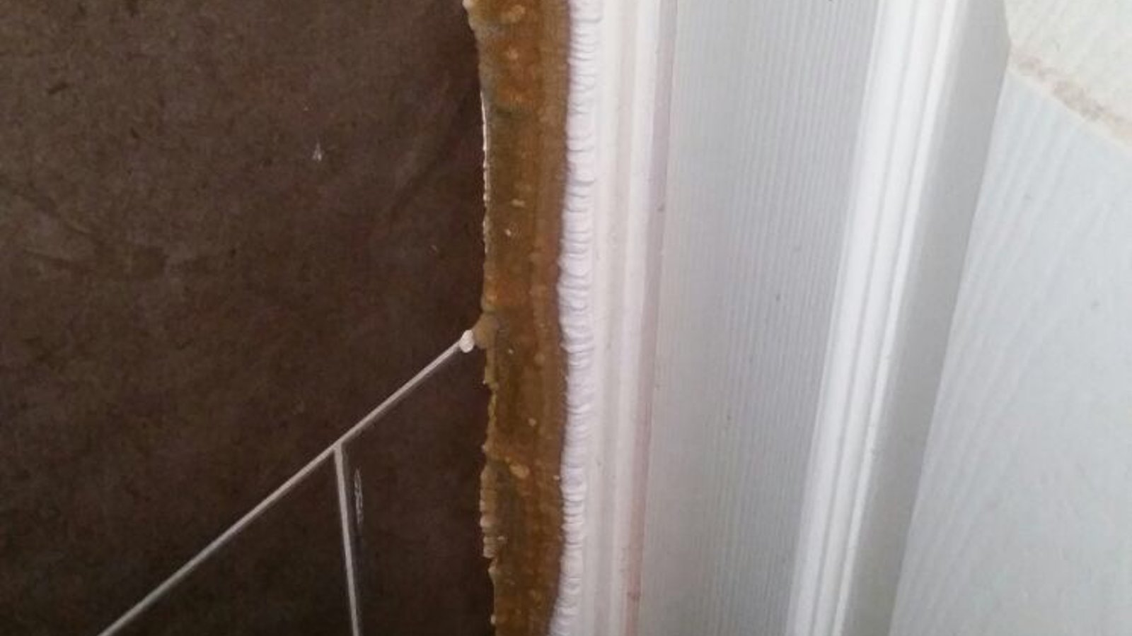 Premier Damp Control Ltd