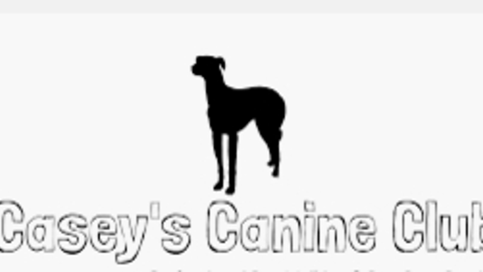 Casey's Canine Club