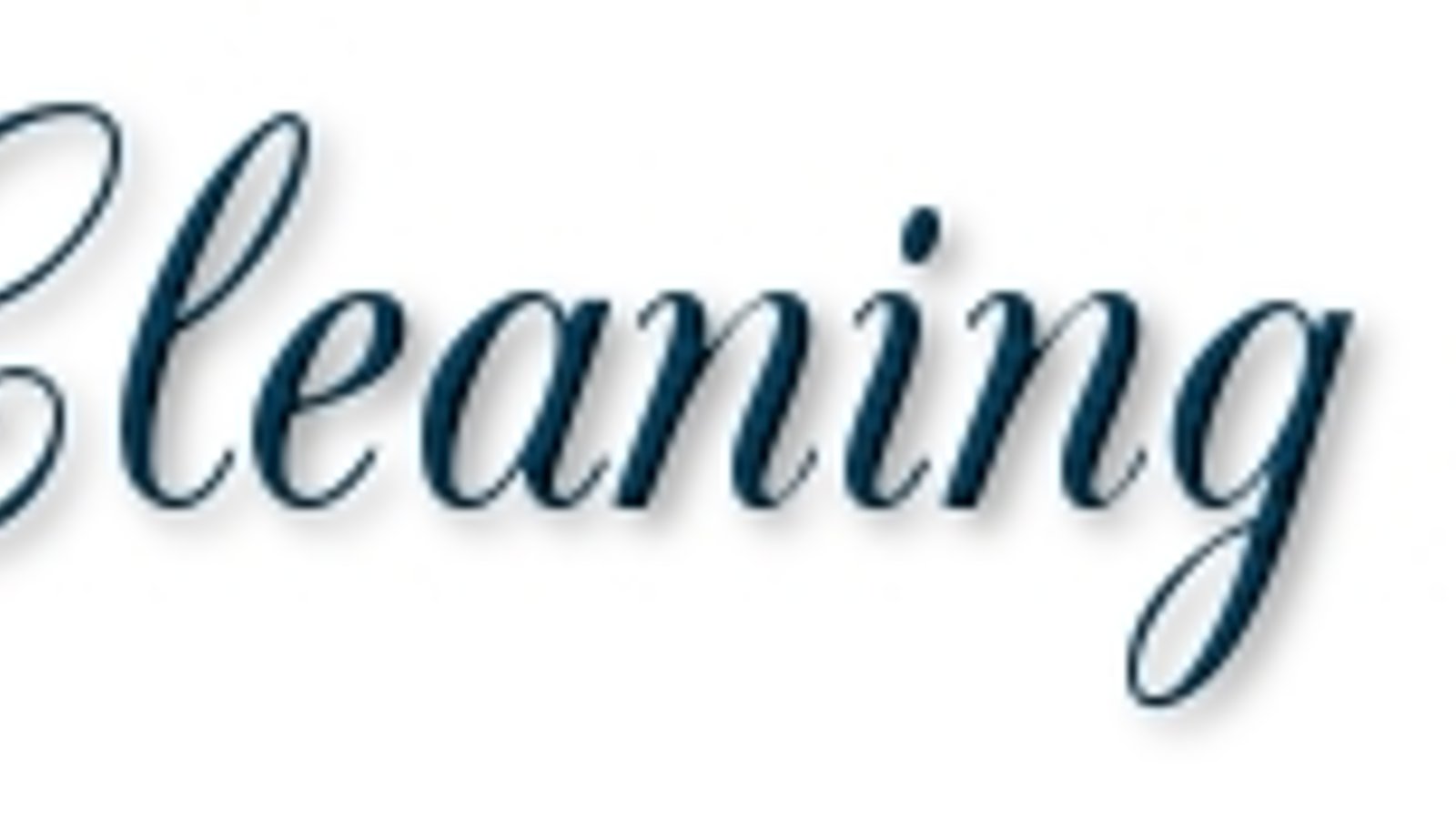 Wizzy Cleaning Services 692-335-0054