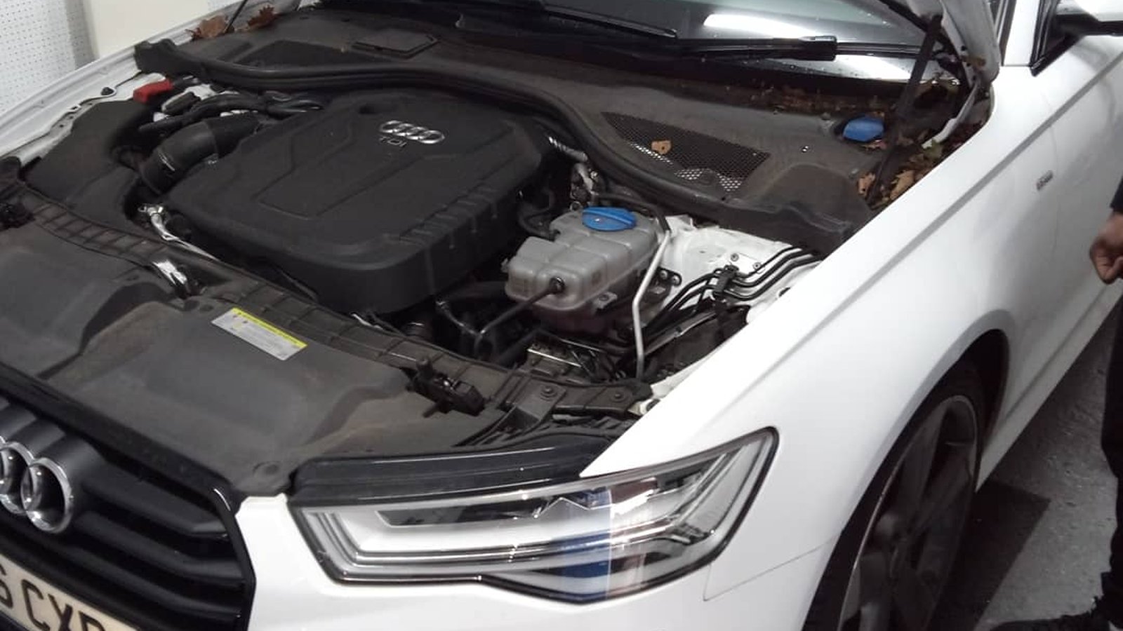 RV Motors Ltd - 455