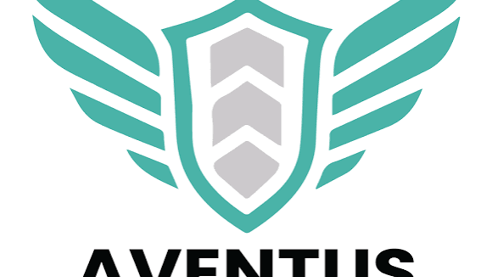 Aventus Roofing