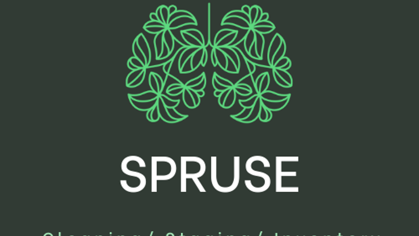 Spruse Cleaning Services