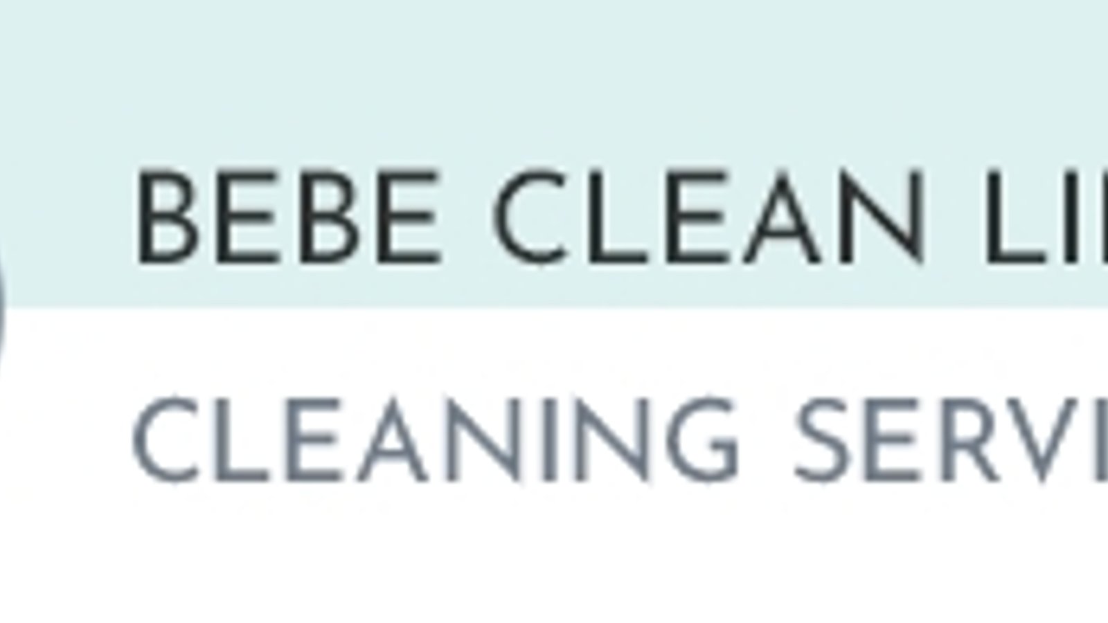 Bebe Clean Limited