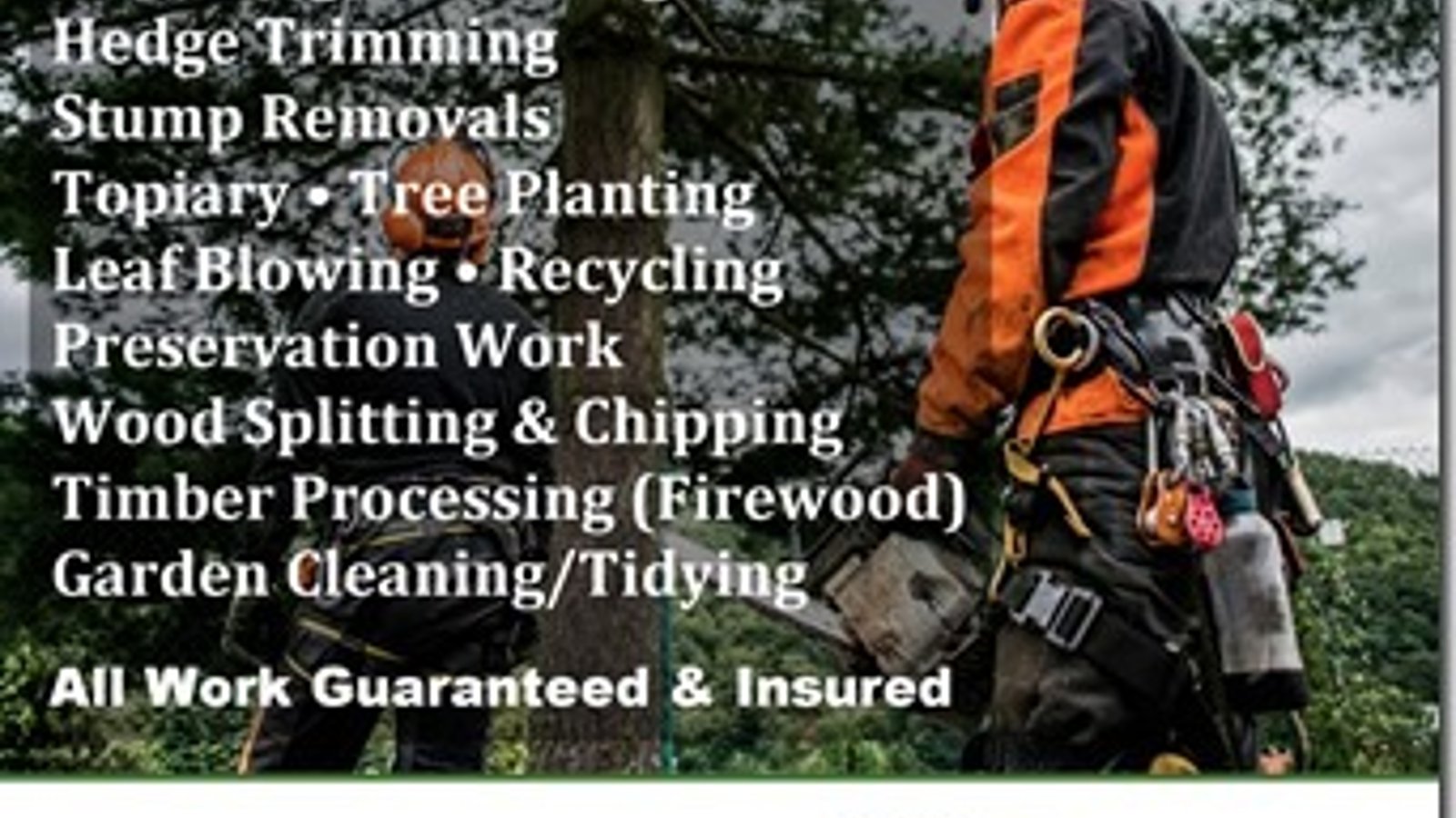 Tree Docs Ltd - Main MCC - 842-636-3170