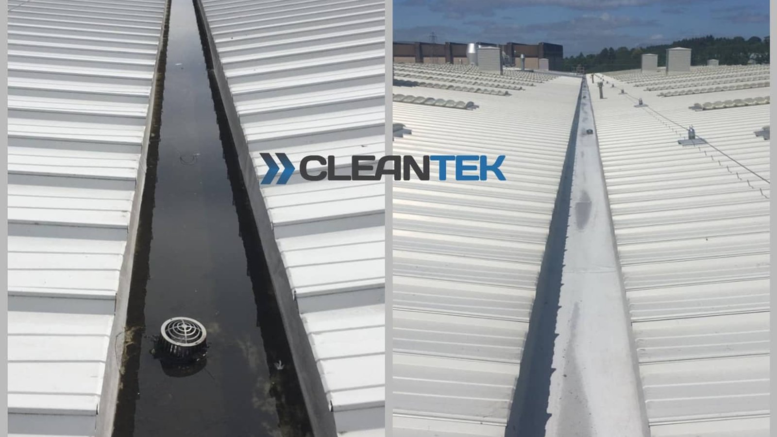 CLEANTEK LTD
