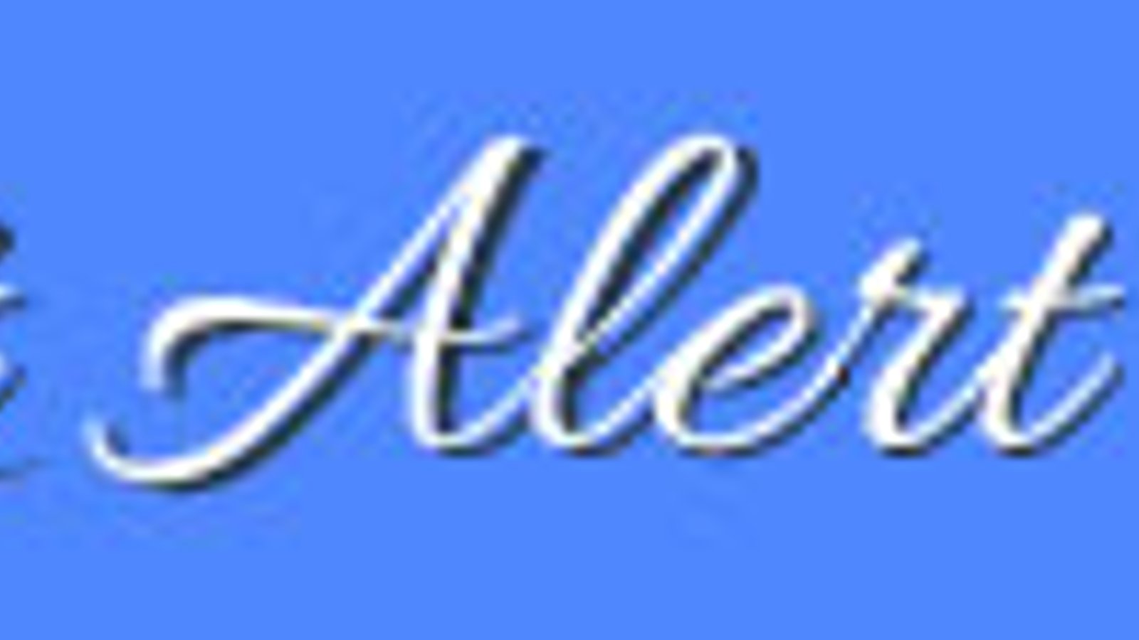 1st Alert Roofing