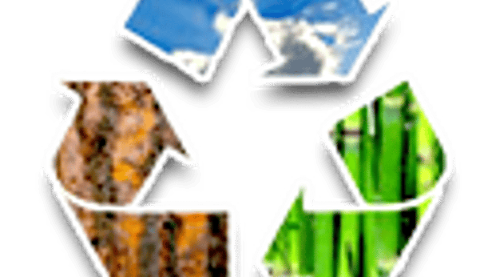 Carls Recycling Services Ltd