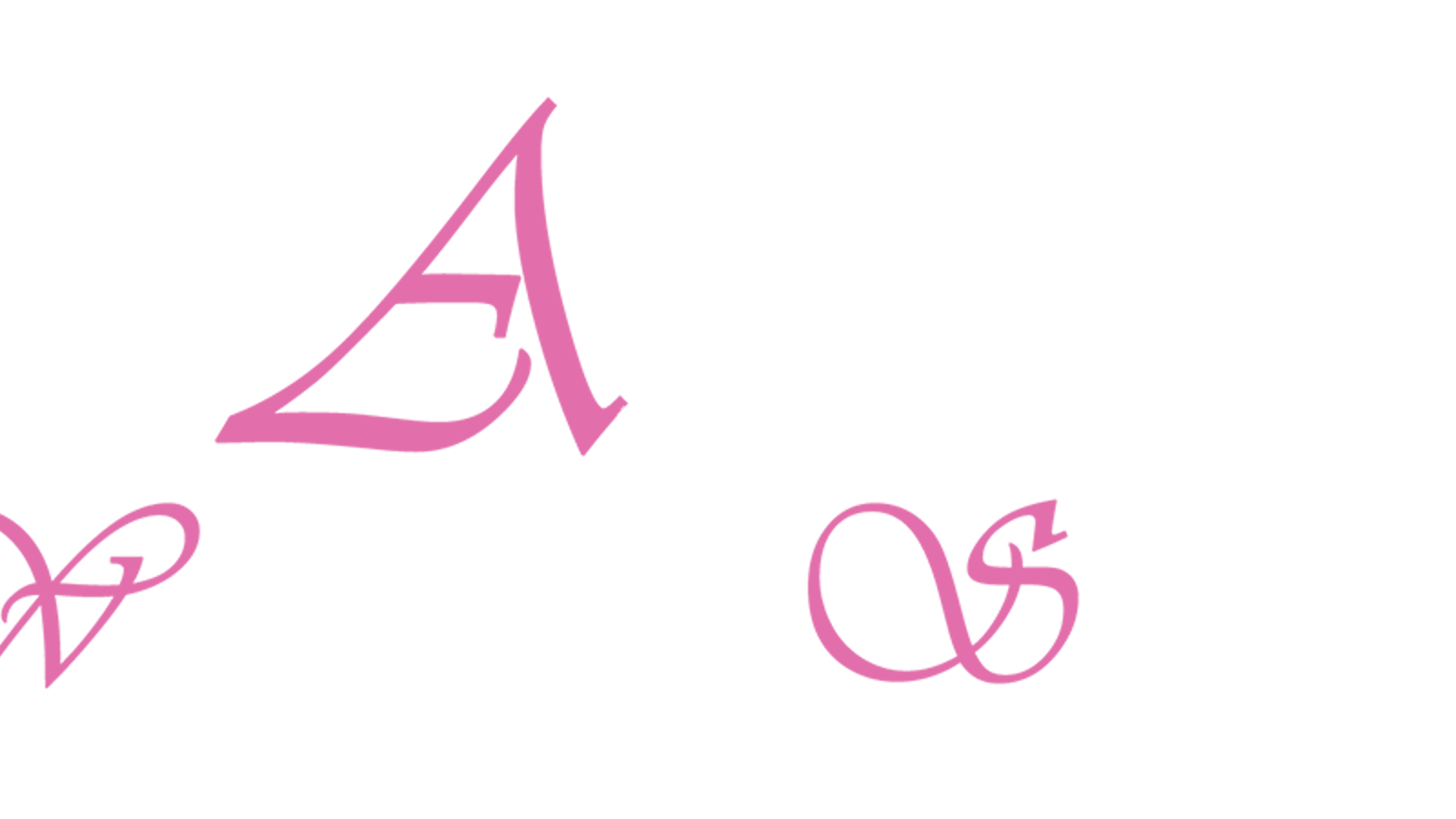 Asian Wedding Services