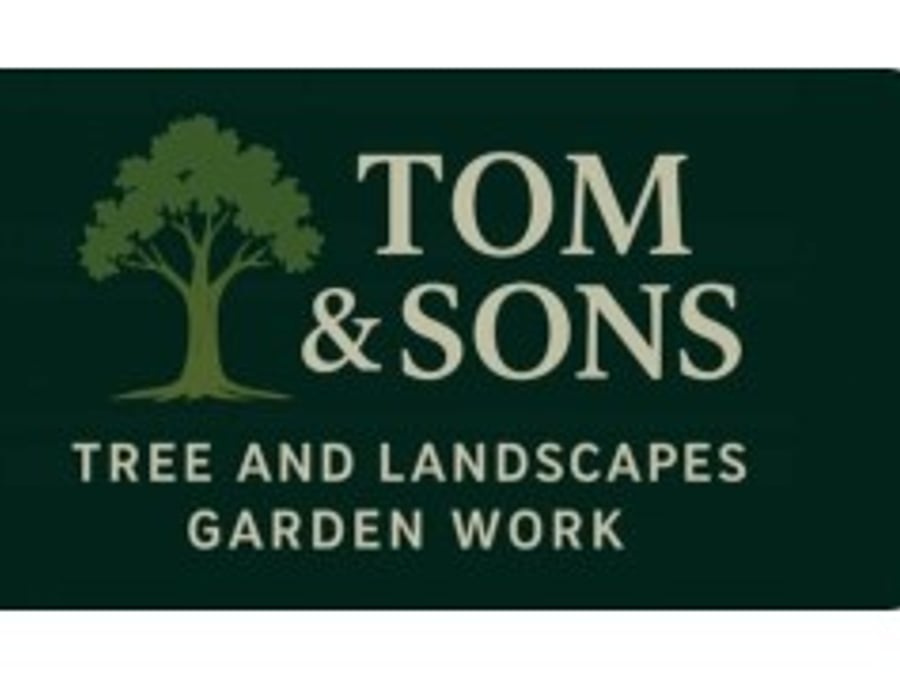 Tom & Sons Tree & Landscapes