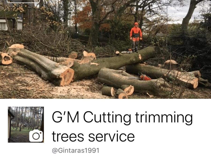 G M Tree Services