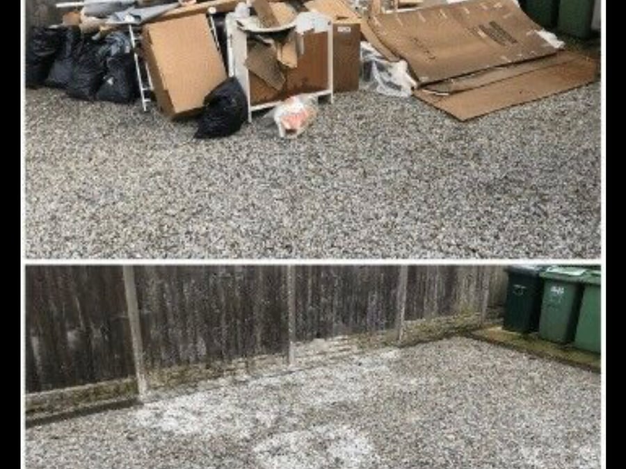 Removal Guys