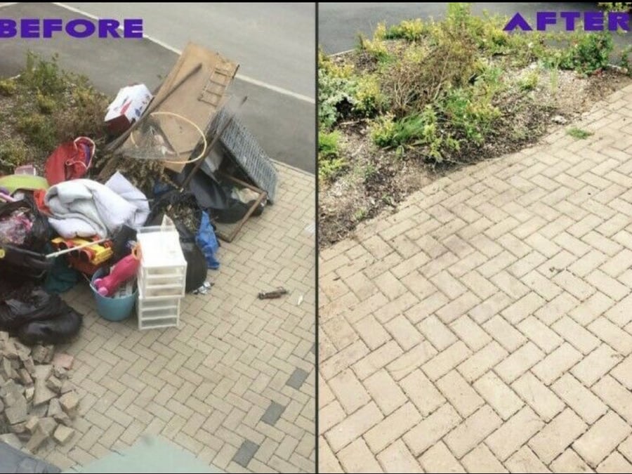 Removal Guys