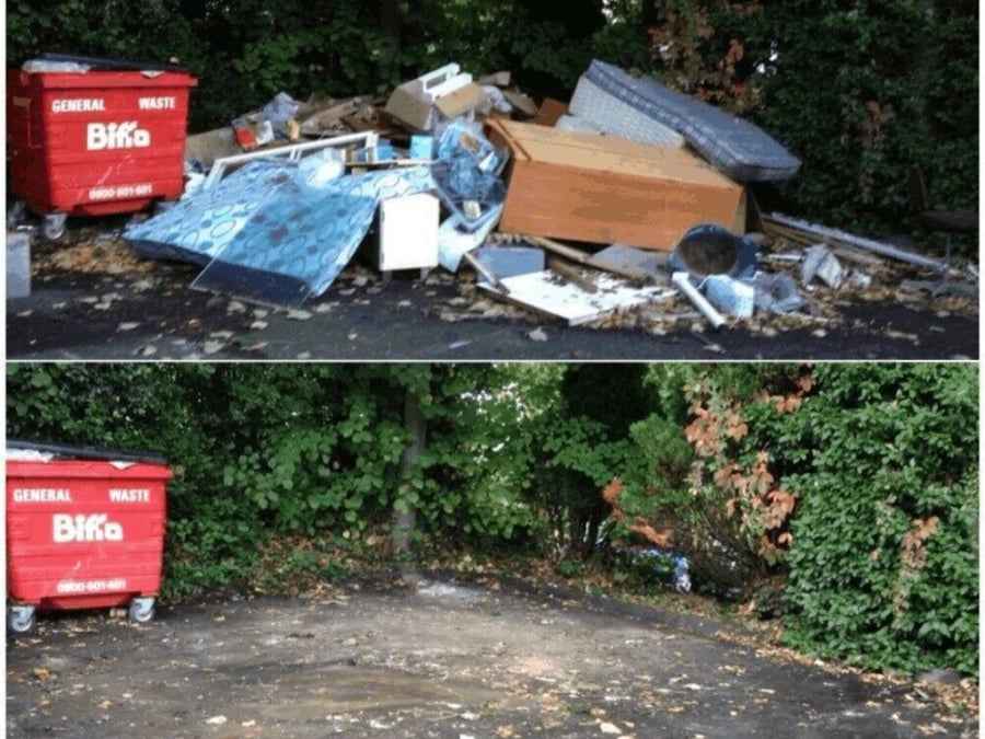 Removal Guys