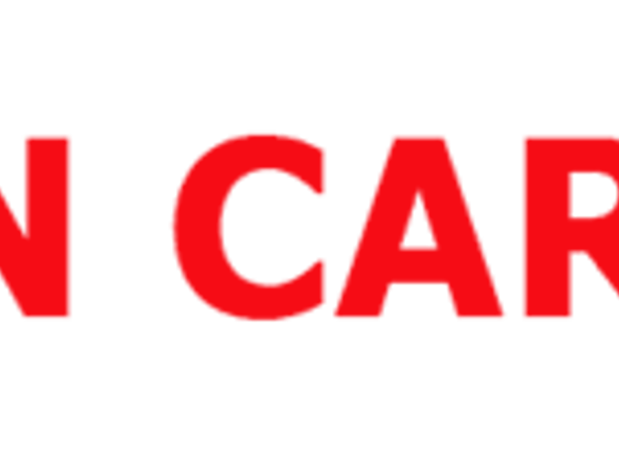 Lion Car Scrap