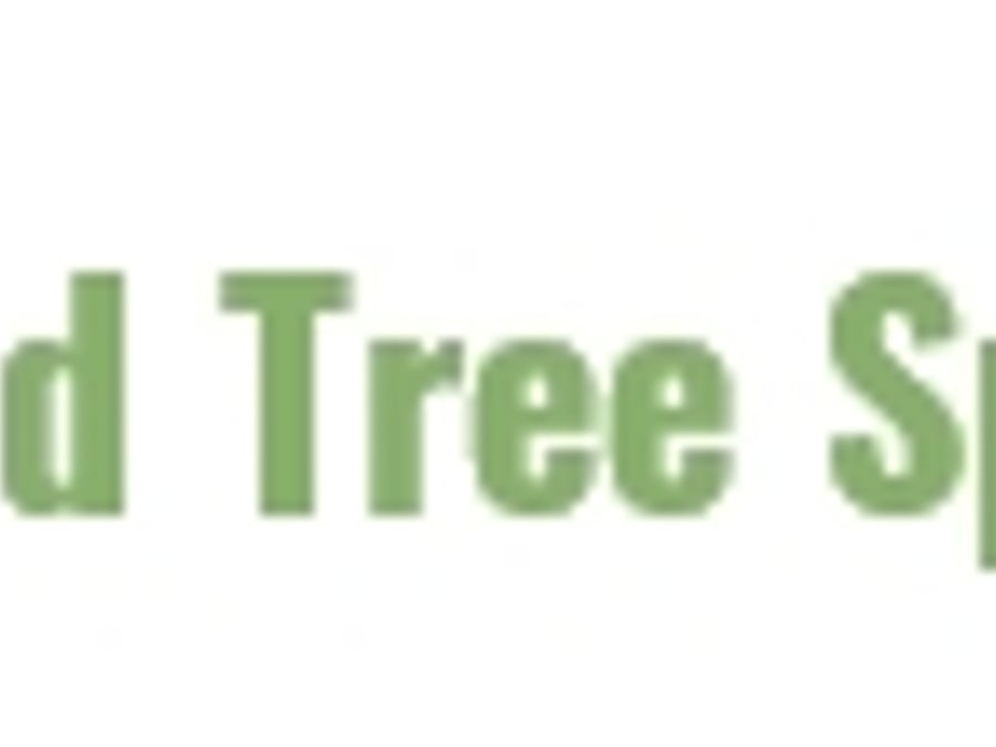 Cedarwood Tree Specialist - Main MCC - 303-348-4266