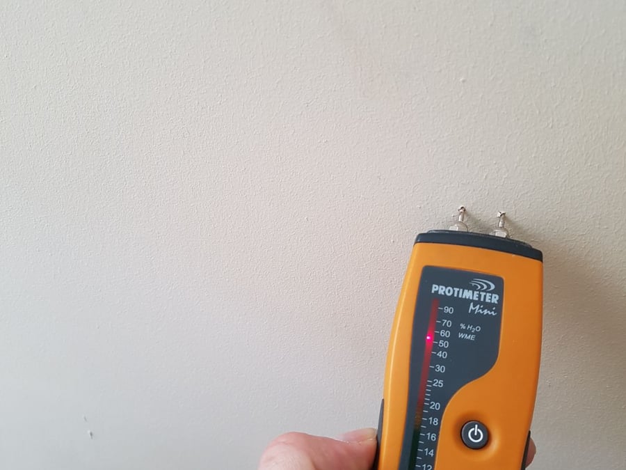 Damp Zone Ltd - Live 831-693-8131