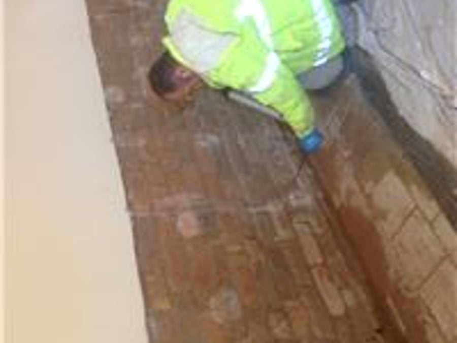 Damp Zone Ltd - Live 831-693-8131