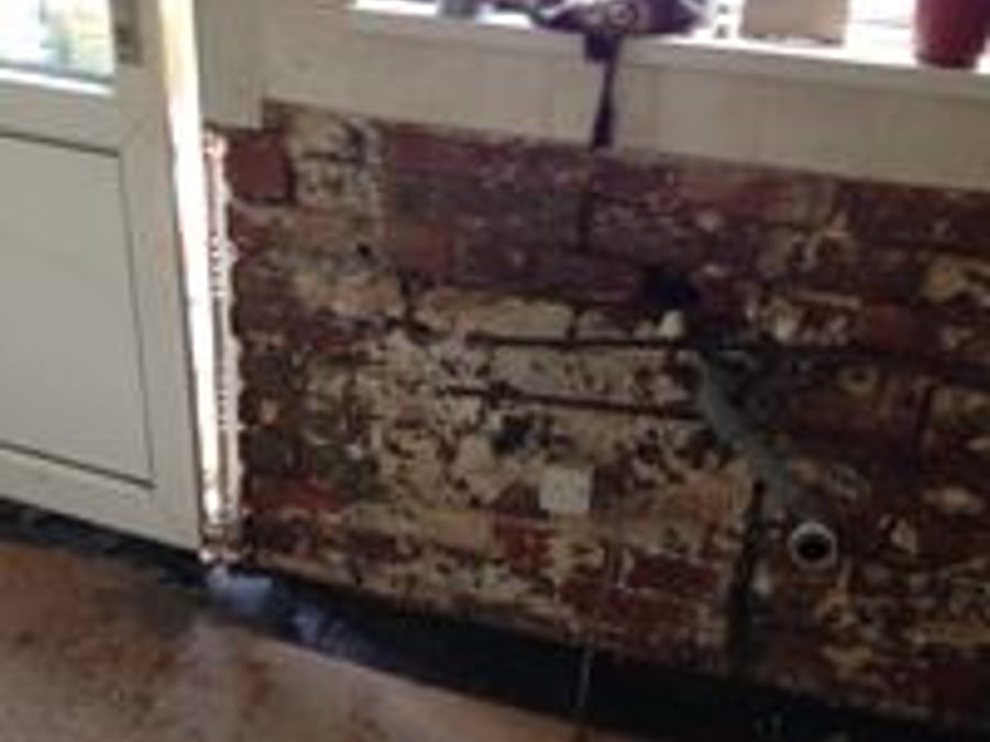 Damp Zone Ltd - Live 831-693-8131