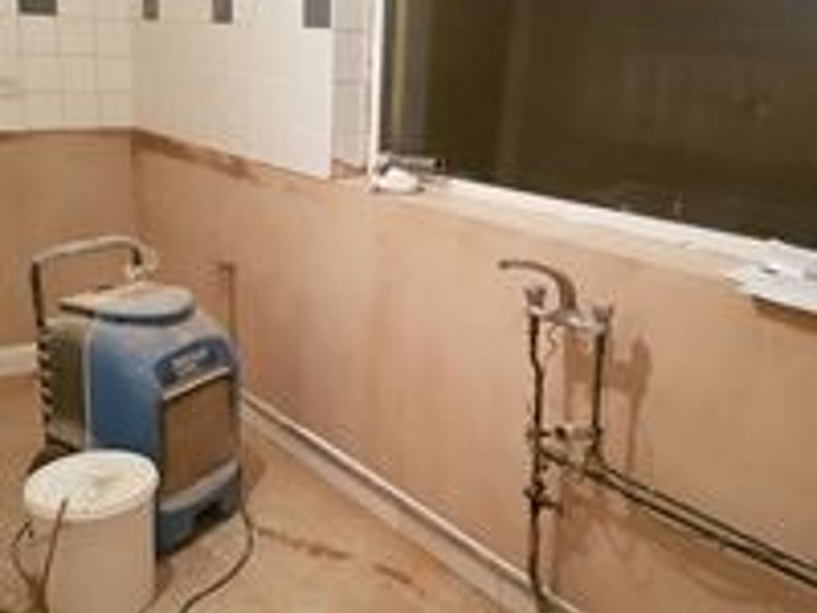 Damp Zone Ltd - Live 831-693-8131