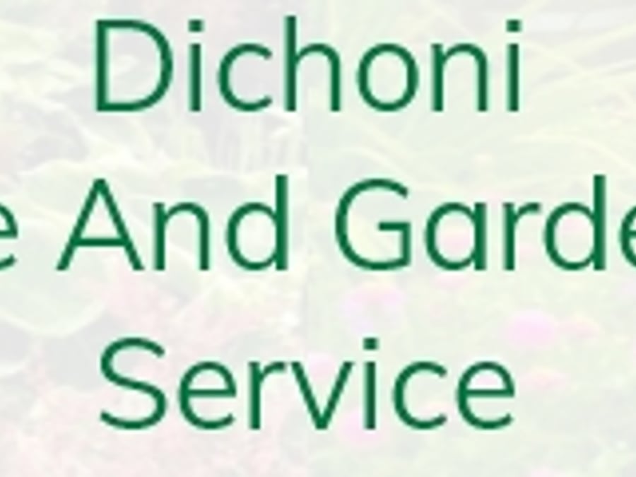 Dichoni HG Services