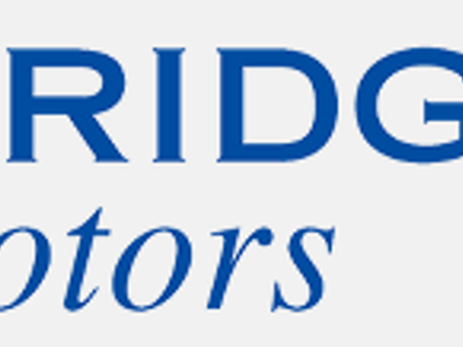 Bridge Motors Ltd