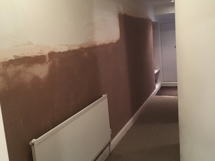 Premier Damp Control Ltd