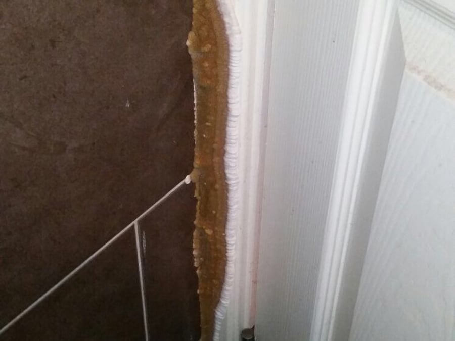 Premier Damp Control Ltd