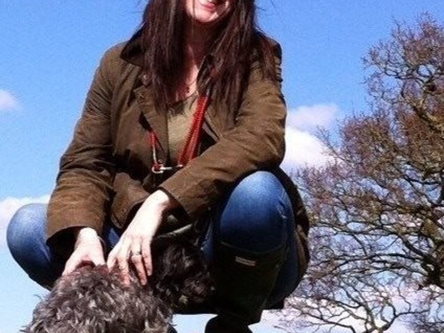 The Hearn Hotel for Dogs
