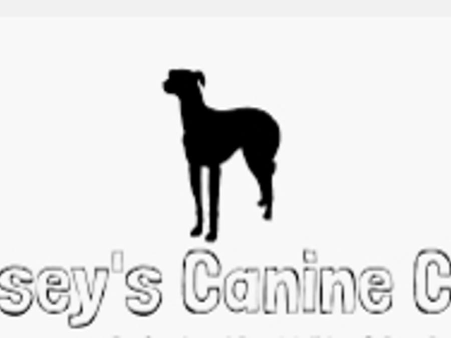 Casey's Canine Club