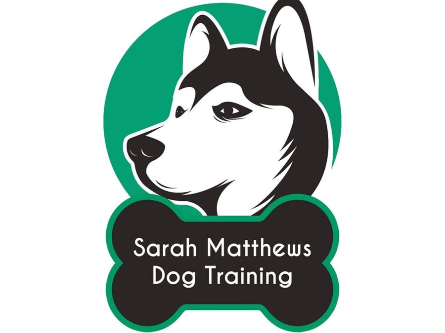 Sarah Matthews Dog Training