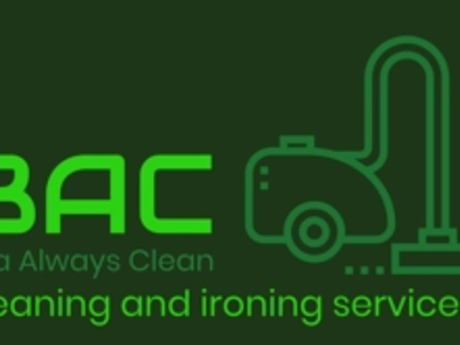 BAC-Bea Always Clean Cleaning and Ironing Services 713-860-5664