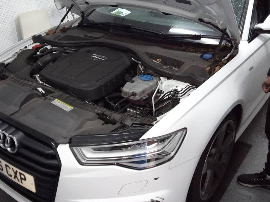 RV Motors Ltd - 455
