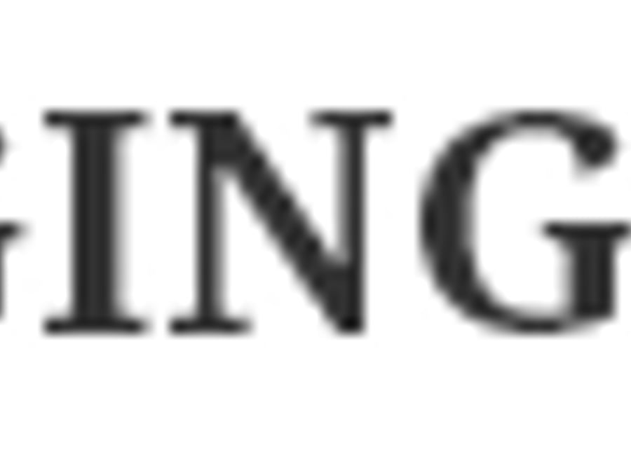 I J B Digging Services