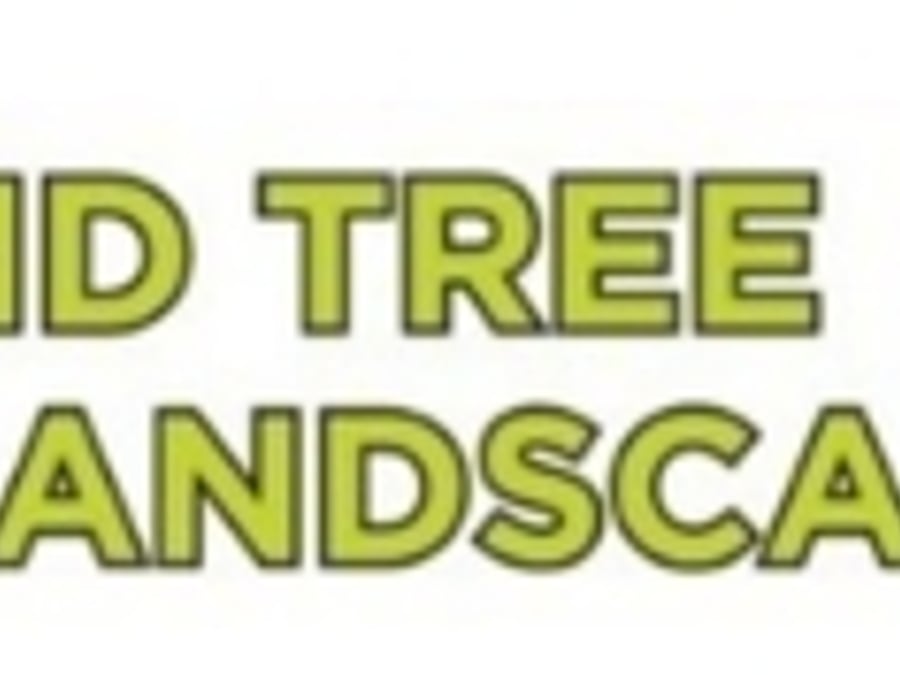 M D Trees & Landscaping