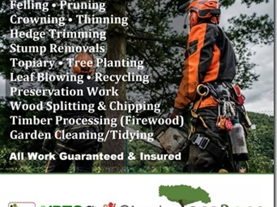 Tree Docs Ltd - Main MCC - 842-636-3170