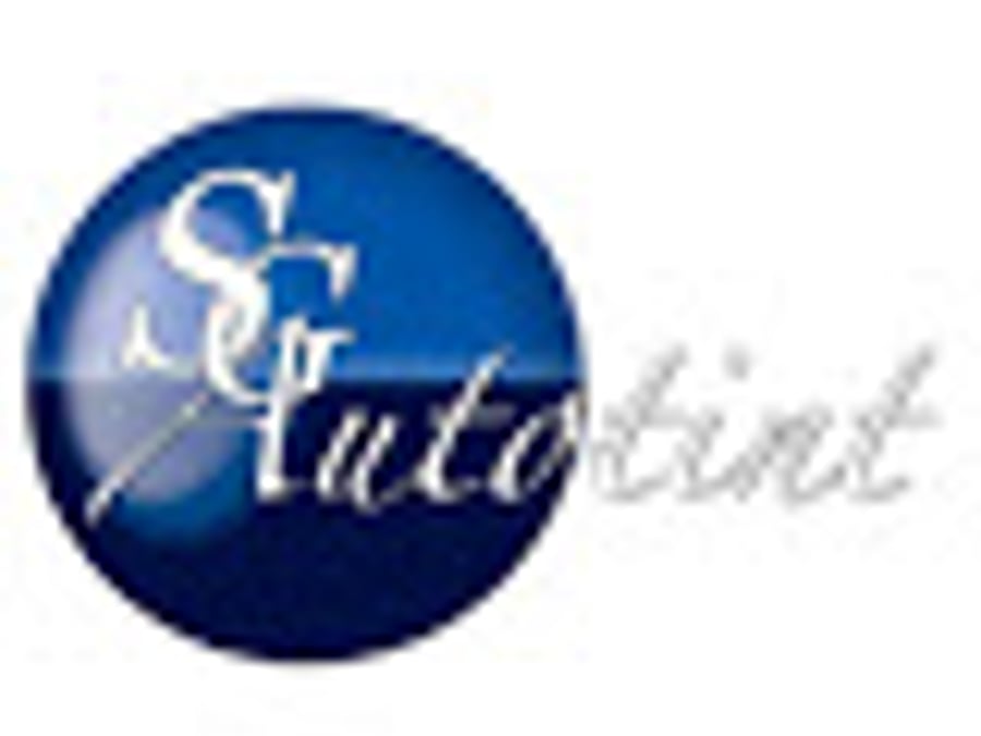SG Auto Tint