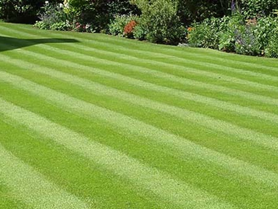 Just a Mow