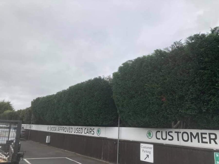 J Smith Landscape Cleaning & Maintenance