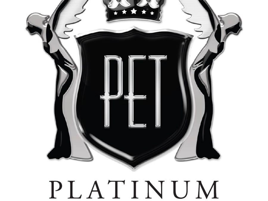 Platinum Executive Travel