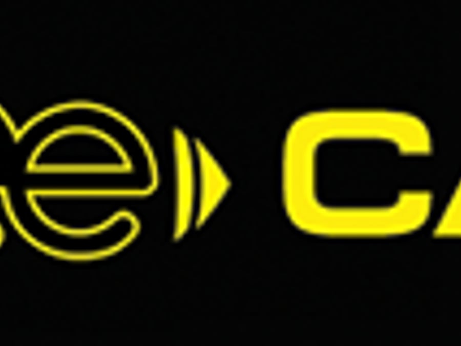 A Bee Cars